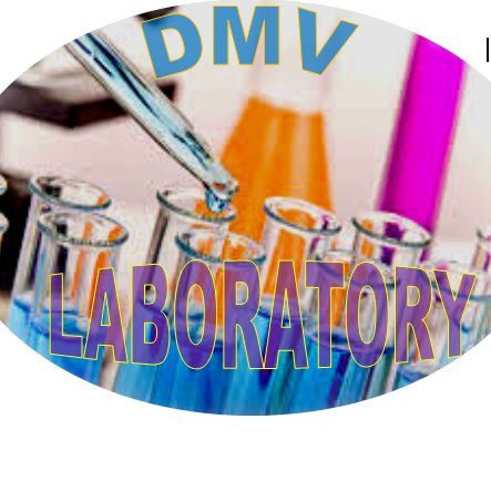We Support Everything in the DMV Art, Music, Fashion and Culture #DMVSupport