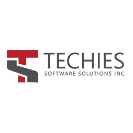 Techies Software Solution Inc Profile