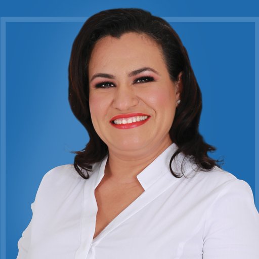 Arquitecta con maestría en Administracion de la Construcción. Cargos de elección: Regidora de Mazatlán, Diputada Local y actualmente Diputada Federal.