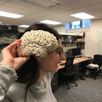 Nicole Hakim (@nicole__hakim) 's Twitter Profile