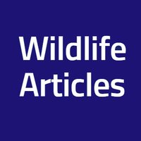 Wildlife Articles(@wildlife_posts) 's Twitter Profile Photo