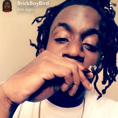 brickboybird26's profile picture. TrenchMade Ent. Kwbb