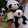 Takahash1_JAPAN's profile picture. 🐱 #Panda #RISS #SC #SSCP  #DigitalForensics #CDFP-B #CDFP-P