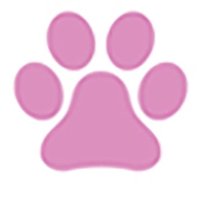 Wagytail (@wagytailharness) 's Twitter Profile