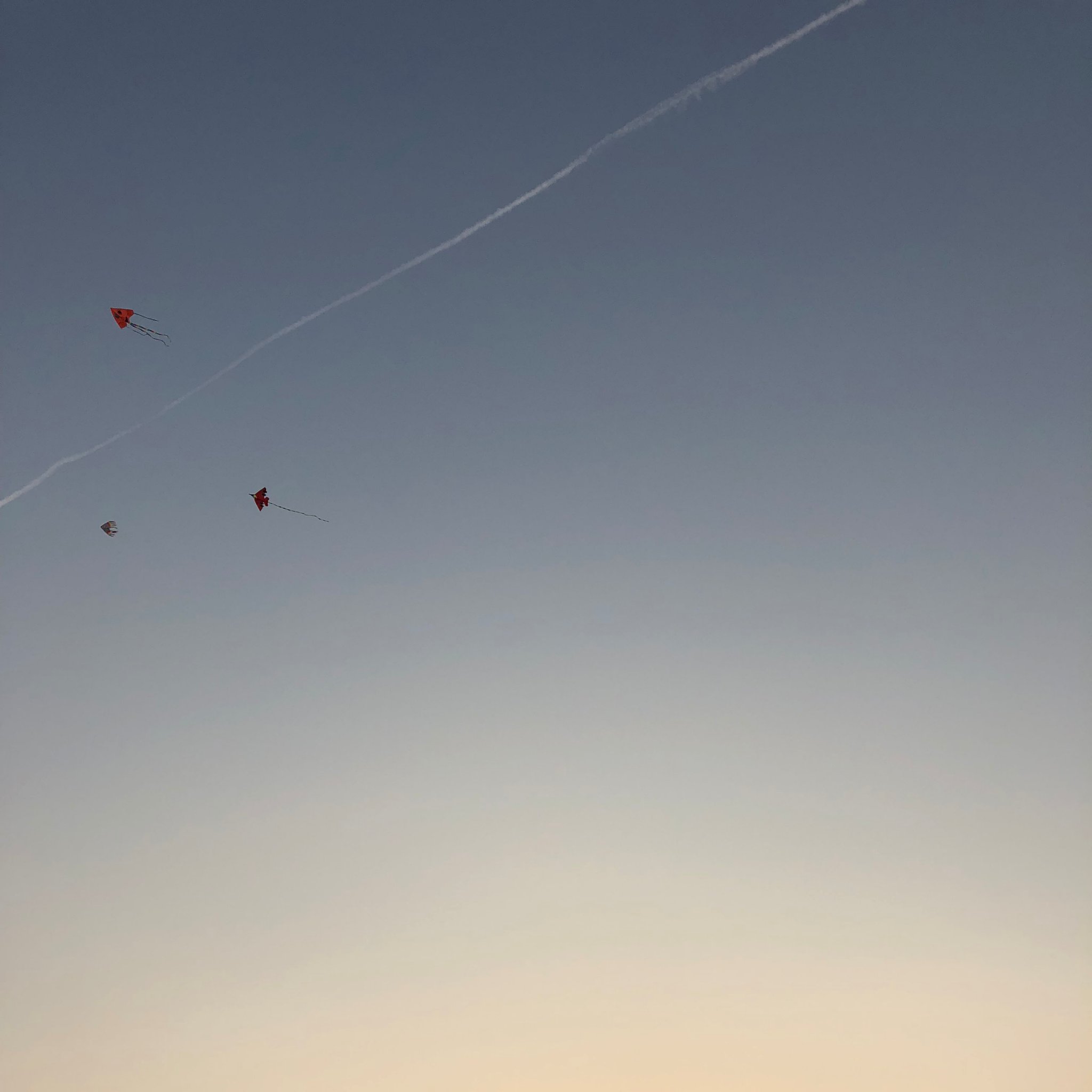 Aaron97667020's profile picture. I'm a Chinese wedding dresses sales manager.I like make friends.Playing basketball is one of my favorite hobby.I like read book very much.