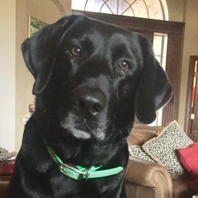 dadto15's profile picture. 