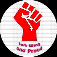 Left Wing and Proud(@a_lwap) 's Twitter Profile Photo