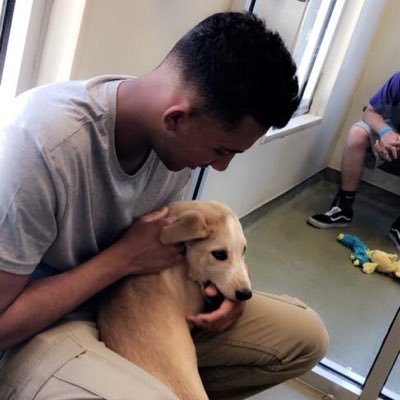 Malik15Ungar's profile picture. 