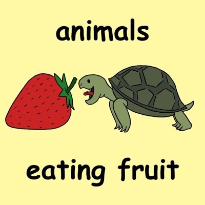 animals eating fruit (@animalseatfruit) / Twitter