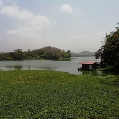 prasaw12's profile picture. 