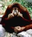 http://t.co/6jnM4SvFRt
TV, Movie and Poker Freak