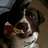 paulfletcher79's profile image
