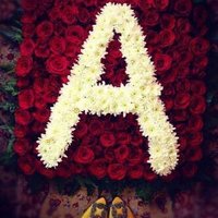 سالب كيير -عمان (@saleb402) Twitter profile photo