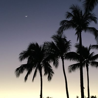 lvlfact's profile picture. ROM専垢 20↑ d!、mzyb会員  FGOとかデレステも好き