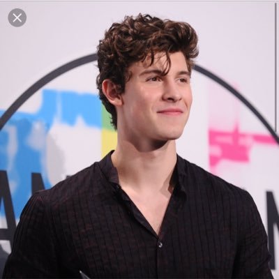 Shawn mendes fan❤️ new tweets everyday...❤️ positive and fun ones🙂#shawnmendesarmy❤️❤️ (new to Twitter so follow plz)❤️