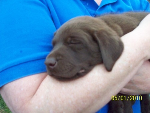 Kona's Mom