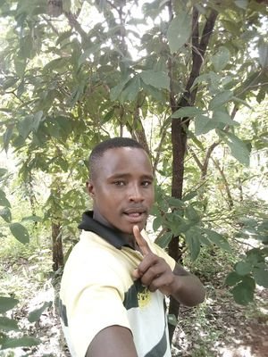 petro88516688's profile picture. petro r qeambwayeida