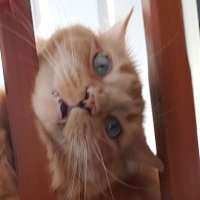 James B (@iamjamesbragg) 's Twitter Profile
