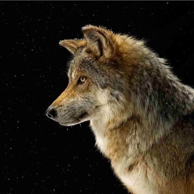 fredowinz23's profile picture. 