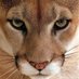 Wake Forest H.S. Women's Lax (@wfhs_wlax) Twitter profile photo Wake Forest H.S. Women's Lax (@wfhs_wlax) Twitter profile photo