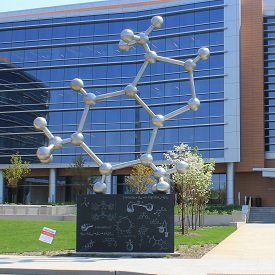 Rutgers University, Chemistry & Chemical Biology