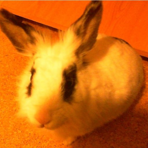 Morrisさんのプロフィール画像