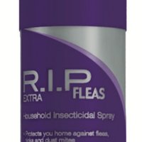 RIP Fleas(@ripfleas) 's Twitter Profile Photo