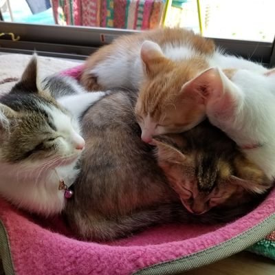 r83zsD945JsvRbV's profile picture. ゲーム大好きな大学生 FPS RPG アクション その他諸々 fgo cod ＭＷ MHWIB