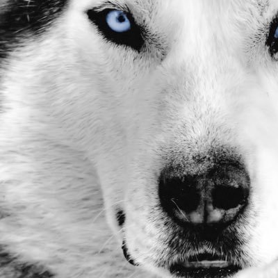 MBi_____'s profile picture. Self Proclaimed Early Adopter, Crypto Enthusiast, Gearhead