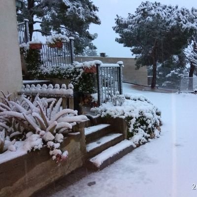 AlbertLoran's profile picture. 