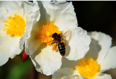 Vanessa99008529's profile picture. 