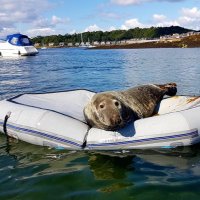 Whats on in Millport, Isle of Cumbrae (@whatsonmillport) 's Twitter Profile