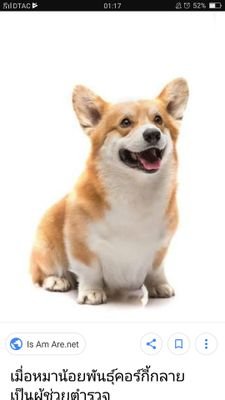 63Q1ZXi1gII9kOX's profile picture. 