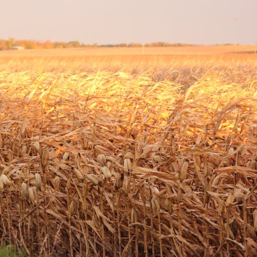 gravelmath's profile picture. Basis Trader. Single issue voter of American democracy. Farming and science. Here to learn. You either believe women are humans with civil rights or you don’t.