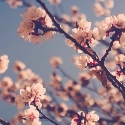 درب ما يعز ممشاي لو إنه مبتغاي مالي به