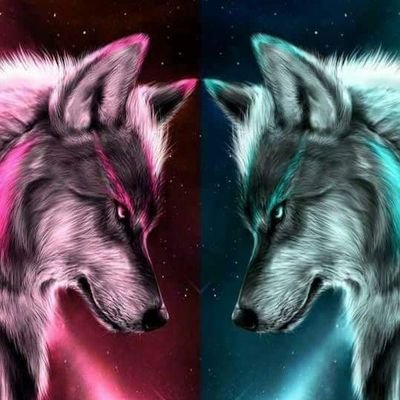 6SU7MeebqgDMlsO's profile picture. 