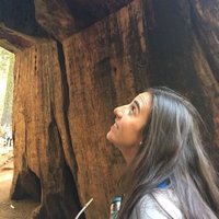 Eli Fantino (@fantinoeli) 's Twitter Profile Photo Eli Fantino (@fantinoeli) 's Twitter Profile Photo