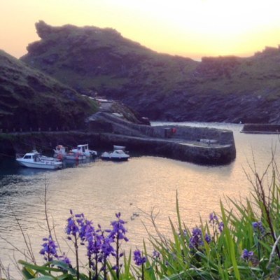 The Picture Parlour has been in Boscastle Harbour for 20 years, it`s been exhibiting works from mainly local artists with many other arts, crafts and gifts.