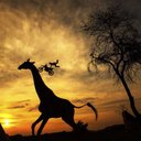 فدوه لكي (@9Ng0IJ4c0tGh1XK) Twitter