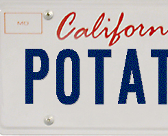 P-O-T-A-T-O!