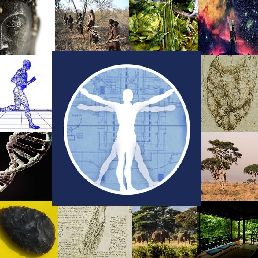 AHumanByDesign's profile picture. Implementation of principles, practices and methods associated with Zen Buddhism, Functional Movement and Paleolithic Nutrition = Optimal Health and Wellbeing.