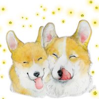 askichi(あすきち) (@askichi_hawaii) 's Twitter Profile