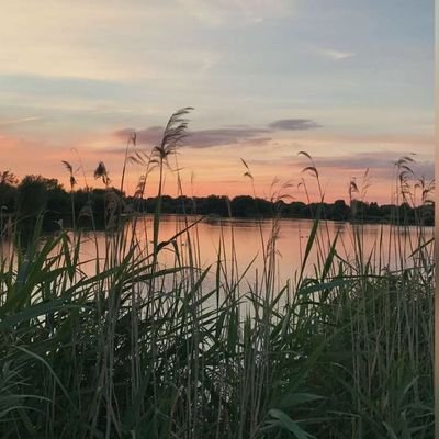 ewaan888's profile picture. n