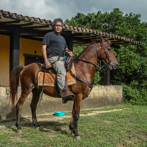 Artista plástico