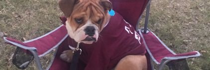 reinerdawg's profile picture. State Fan