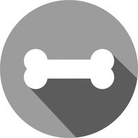 BoneQuest (@bonequest) 's Twitter Profile