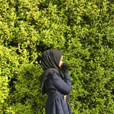 tweets with replies by farah frww twitter