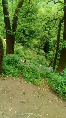 babakz180's profile picture. 