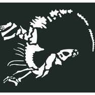 Museo de Paleontología de Castilla-La Mancha (@mupaclm) 's Twitter Profile