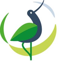 Festival de l'Oiseau et de la Nature(@FestivalOiseau) 's Twitter Profile Photo